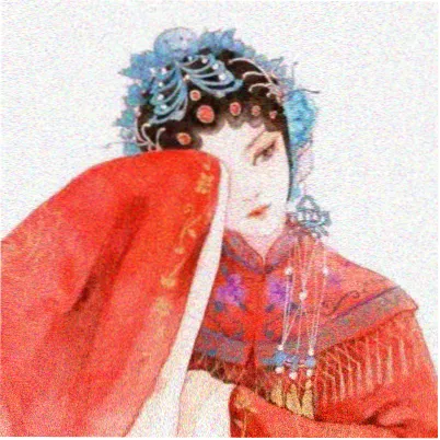 读者南山下的猫头像